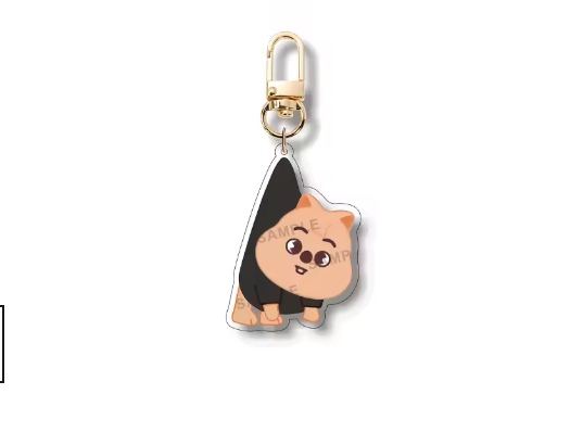 Skzoo Metal Keychains