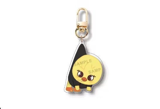 Skzoo Metal Keychains